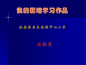 我国培学习作品.ppt