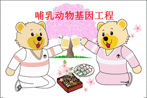 《哺乳动物表达系统》PPT课件.ppt