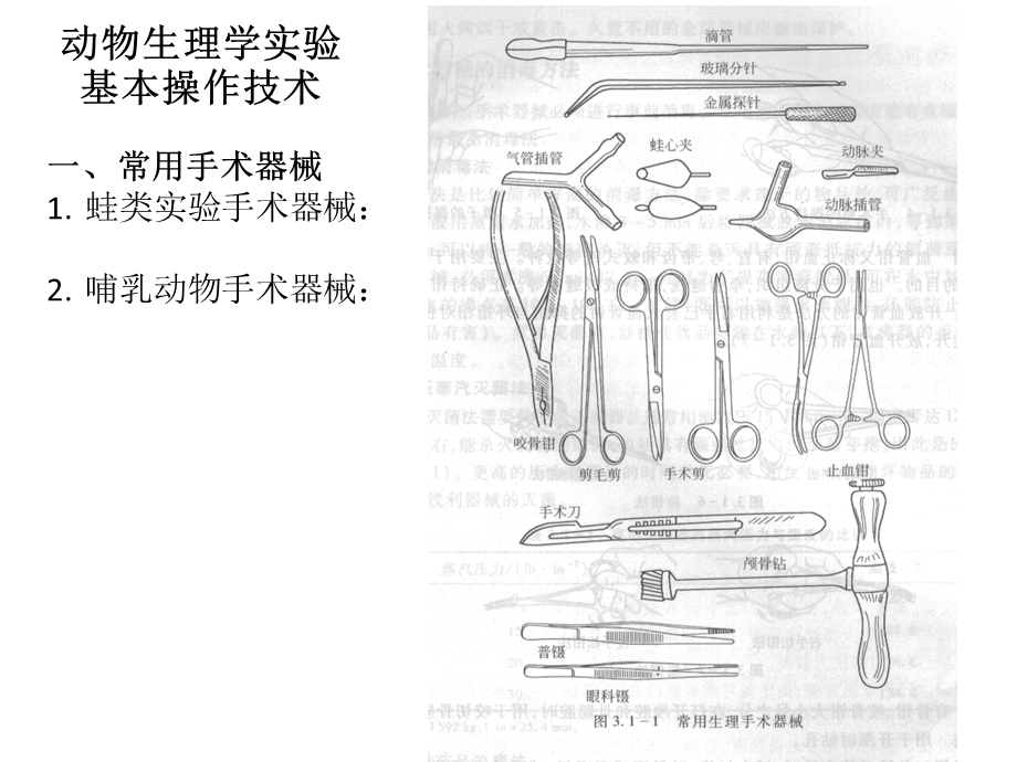 《实验实验》PPT课件.ppt_第2页