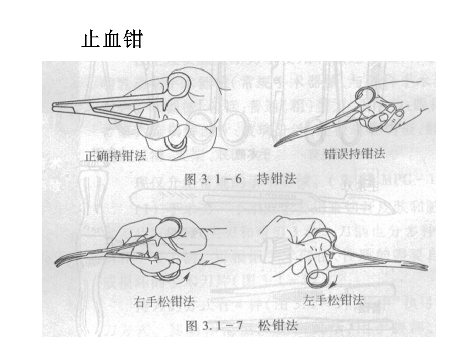 《实验实验》PPT课件.ppt_第3页