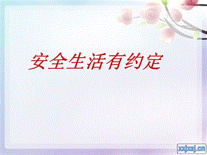 《安全生活有约定》PPT课件.ppt