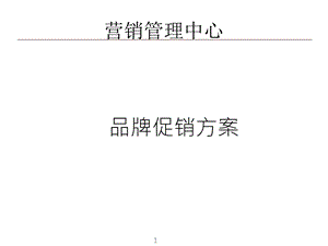 《品牌促销方案》PPT课件.ppt