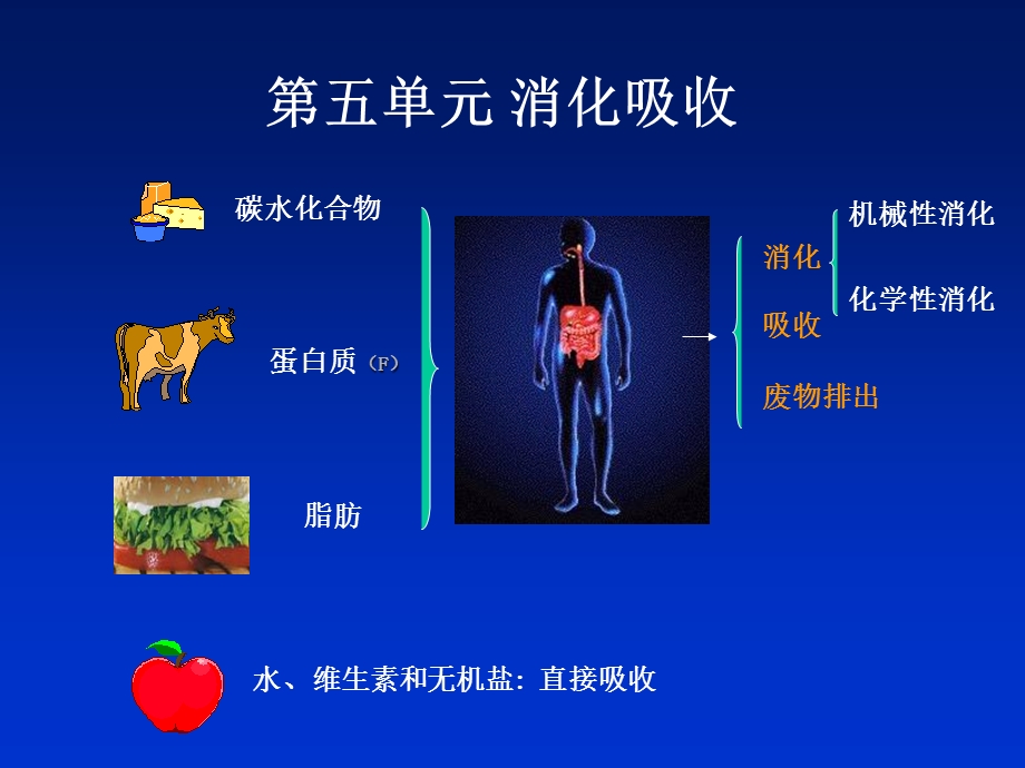 《执业医士》PPT课件.ppt_第2页