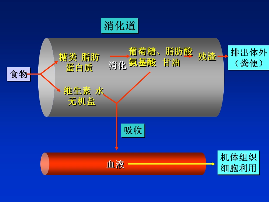 《执业医士》PPT课件.ppt_第3页