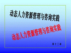 《动态人力资源》PPT课件.ppt