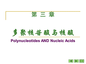 《多聚核苷酸与核酸》PPT课件.ppt