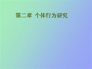 《个体行为研究》PPT课件.ppt