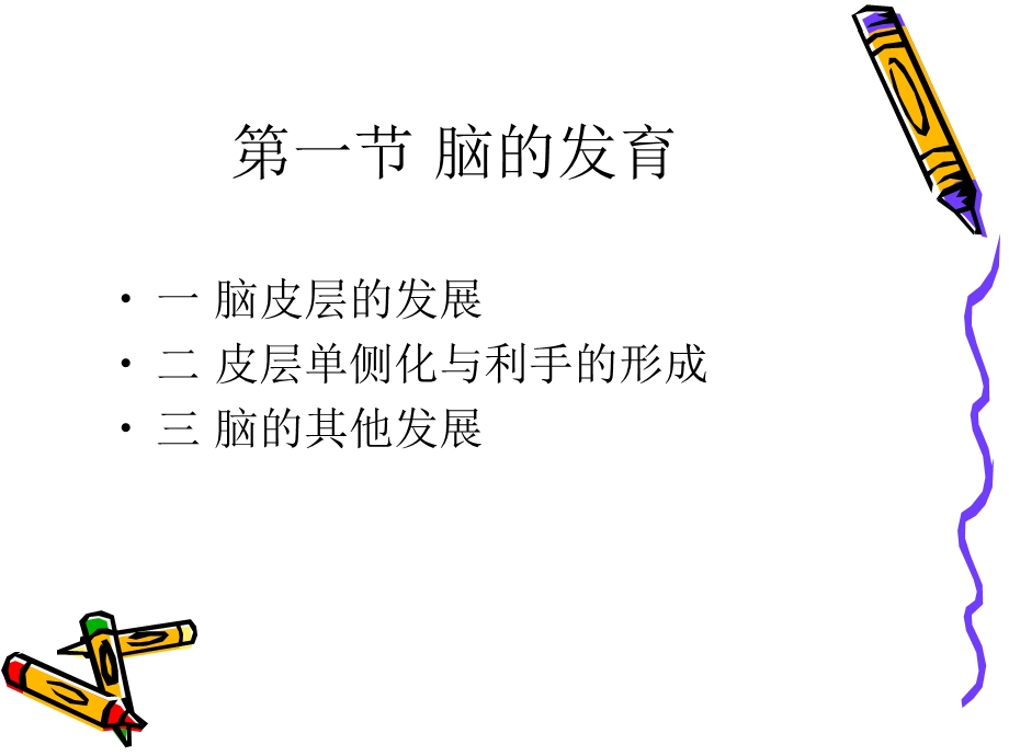 《幼儿的生理》PPT课件.ppt_第2页