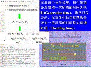 《发酵工程下》PPT课件.ppt