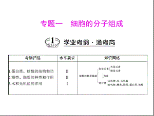 专题一 考点1 蛋白质、核酸的结构和功能.ppt