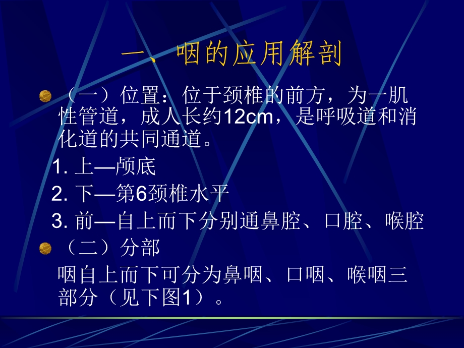 《咽的解剖及生理》PPT课件.ppt_第2页