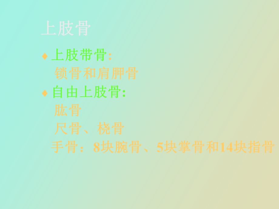 《上肢骨及连结》PPT课件.ppt_第2页