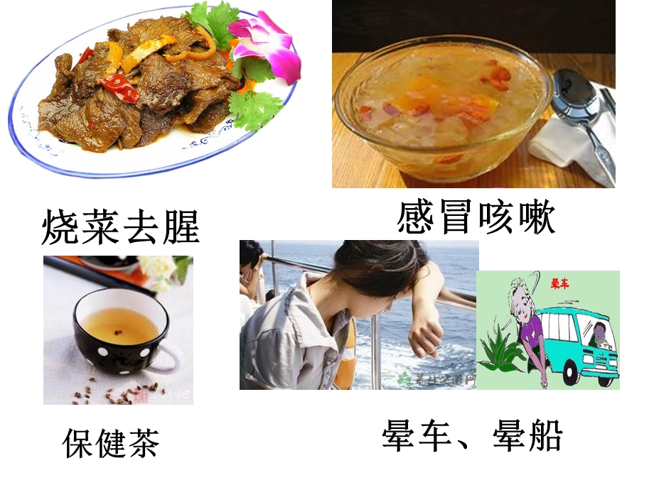 《多用的橘子皮》PPT课件.ppt_第3页