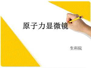 《原子力显微镜》PPT课件.ppt