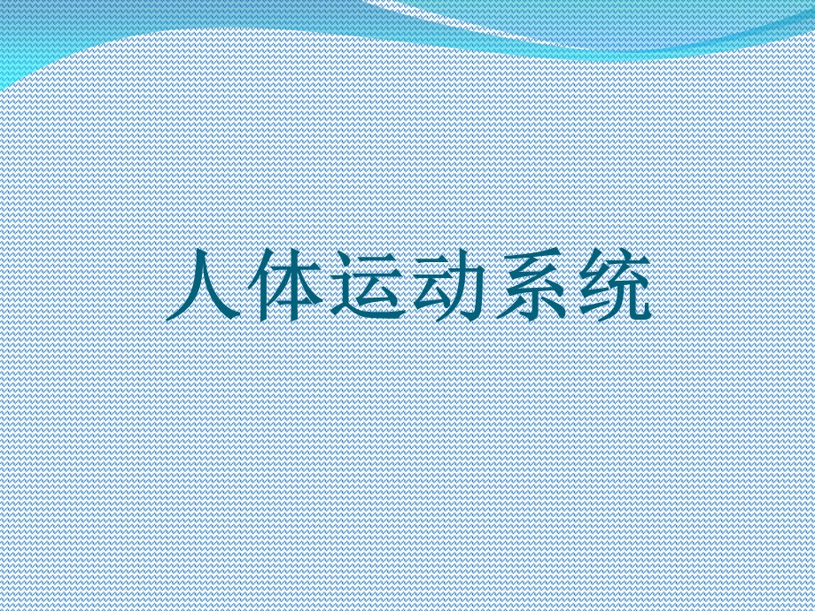 《人体运动系统》PPT课件.ppt_第1页