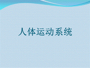 《人体运动系统》PPT课件.ppt