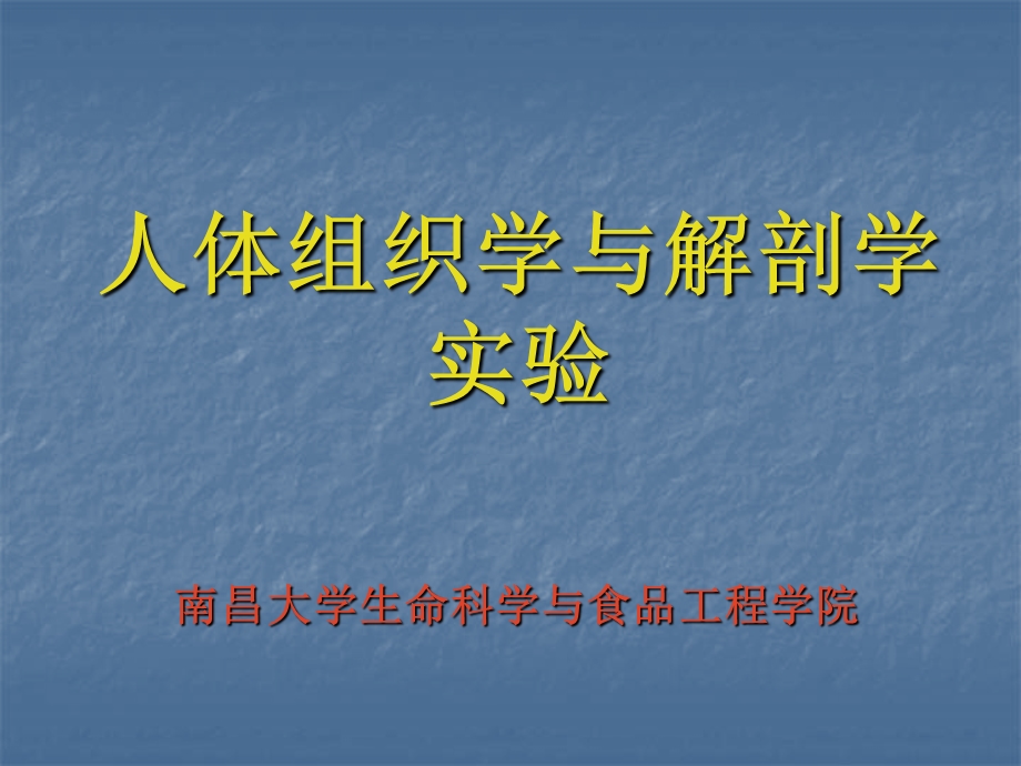 上皮组织实验课件.ppt_第1页