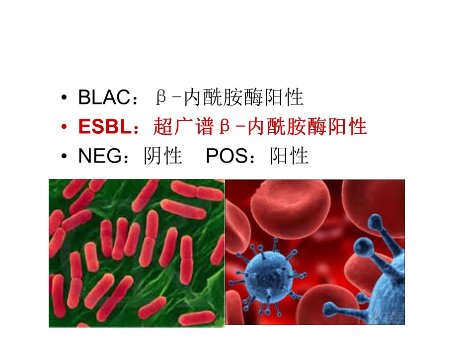 细菌临床沟通.ppt_第3页