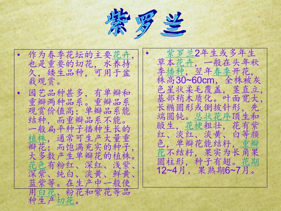 《字花科植物》PPT课件.ppt_第3页