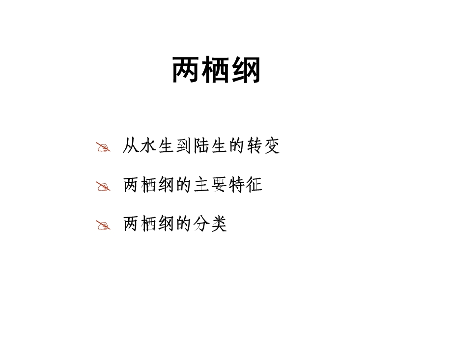 《动物学两栖纲》PPT课件.ppt_第1页