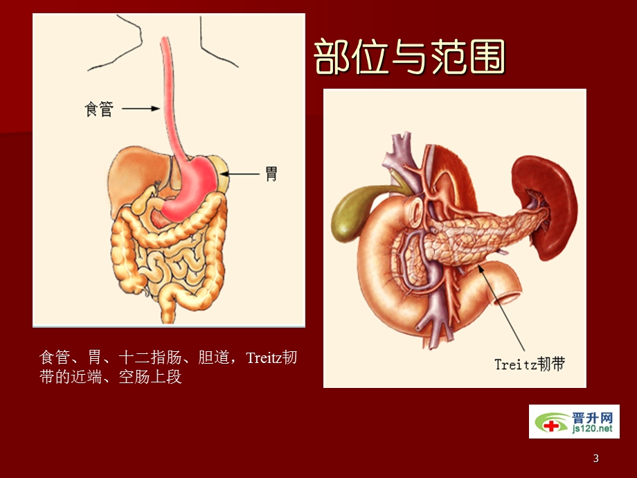 医学课件之(9).ppt_第3页