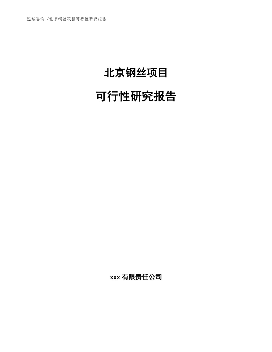 北京钢丝项目可行性研究报告模板范文.docx_第1页