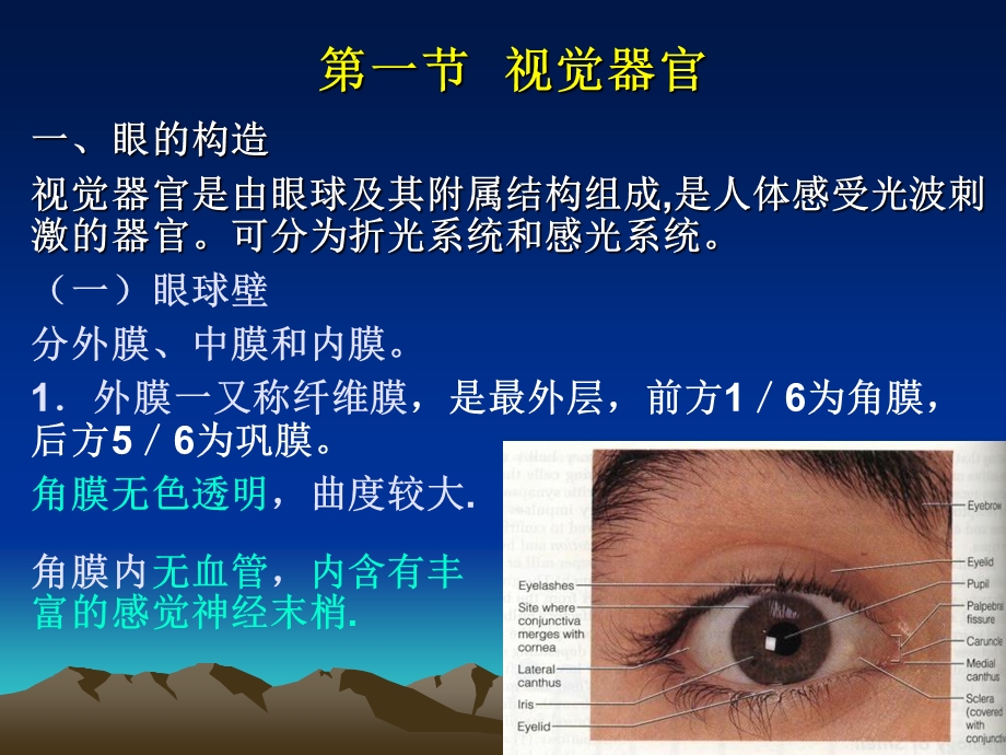 《感觉生理》PPT课件.ppt_第1页