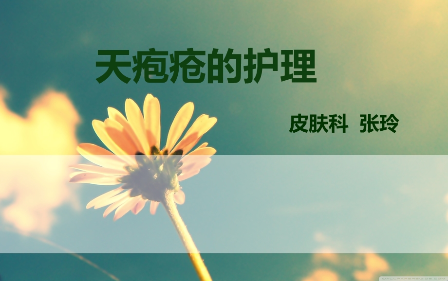 《天疱疮的护理》PPT课件.ppt_第1页