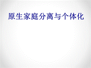 《分离与个体化》PPT课件.ppt