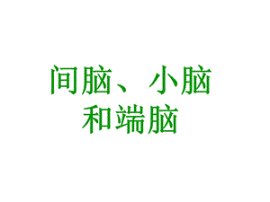 四讲：间脑、小脑和端脑.ppt