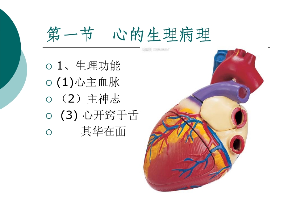 《循证稳心颗粒》PPT课件.ppt_第2页