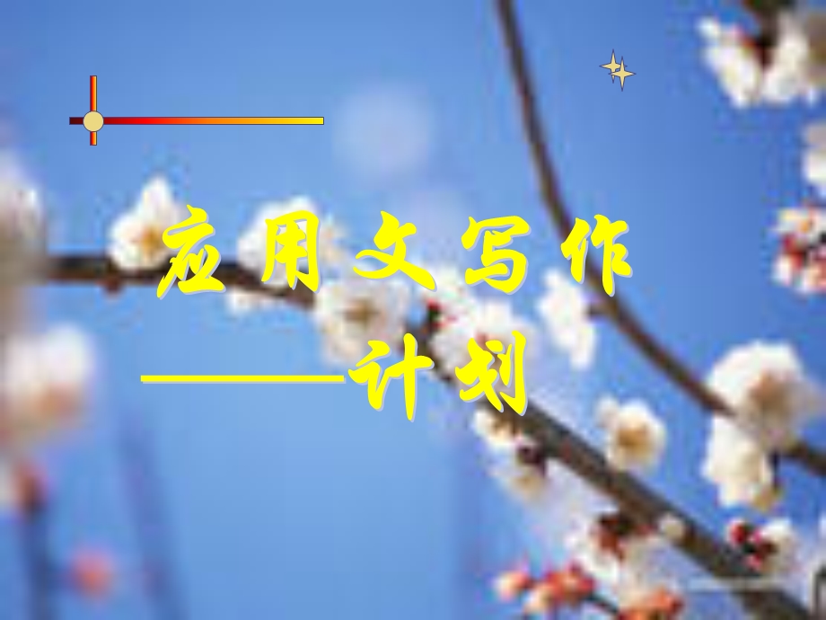 《应用文计划》PPT课件.ppt_第1页