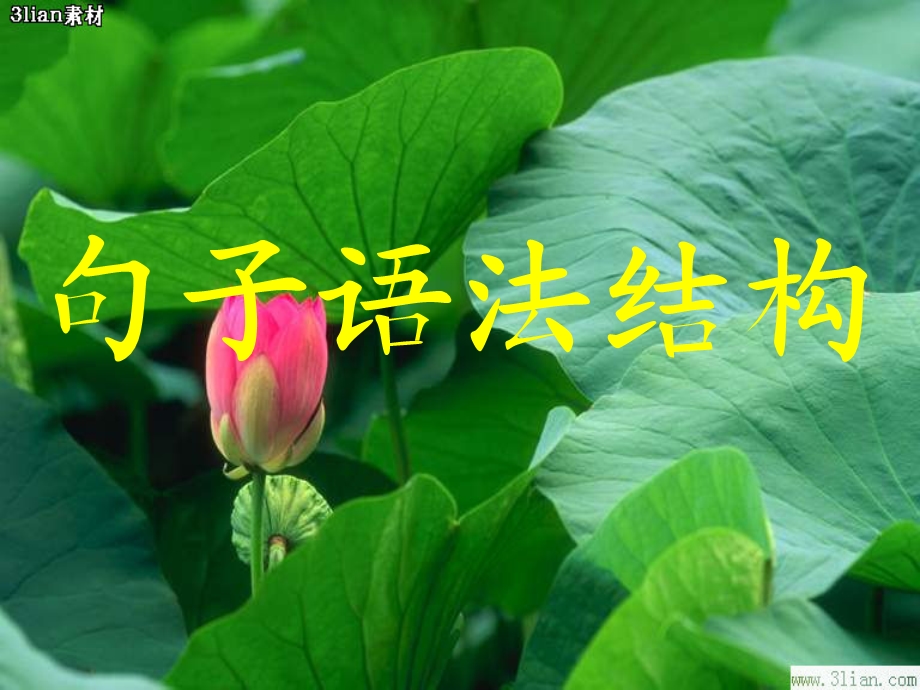 《句子语法结构》PPT课件.ppt_第1页