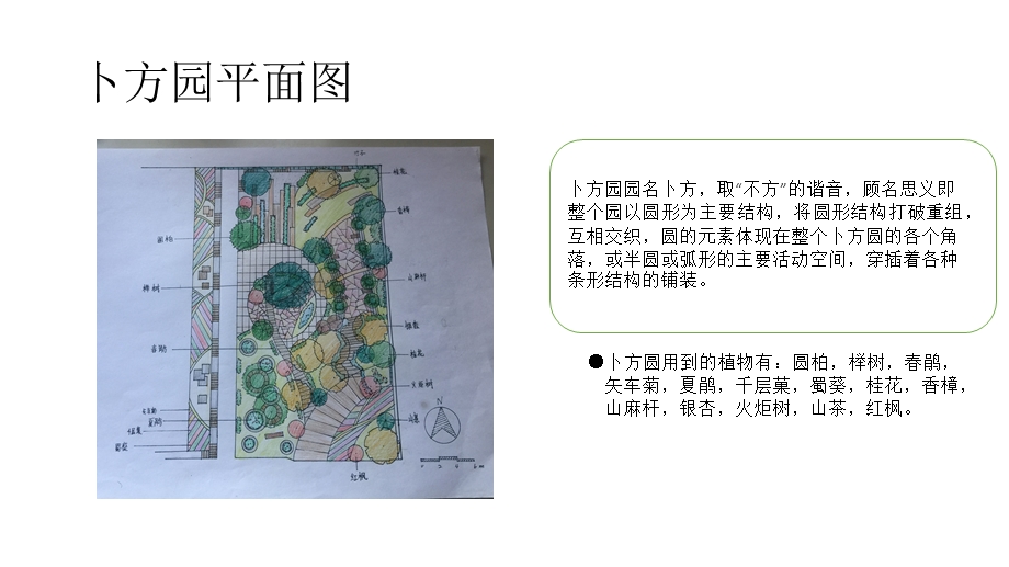 《广场设计方案》PPT课件.ppt_第2页