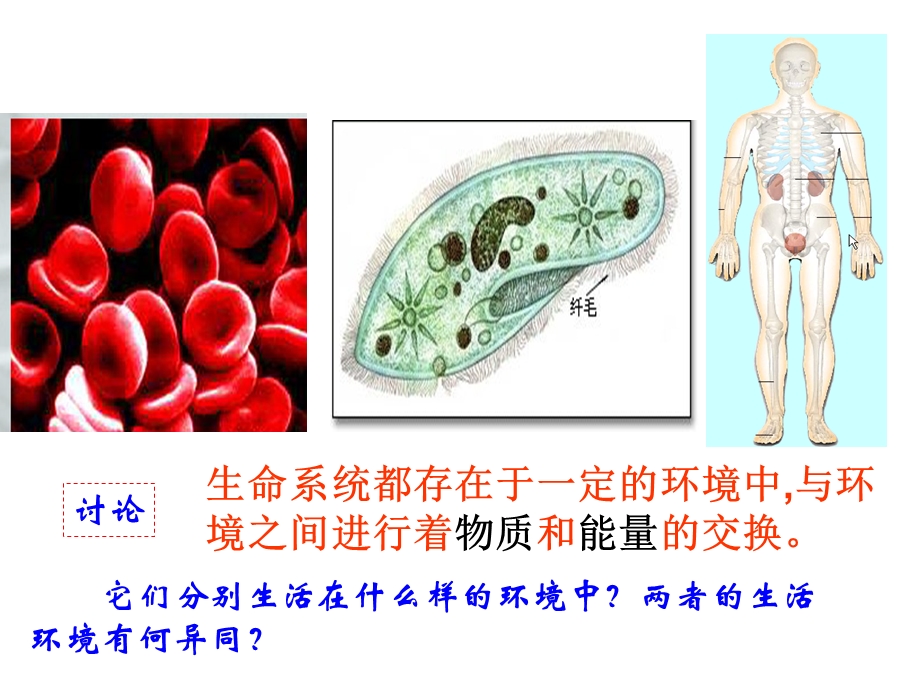 《内环境与稳态》PPT课件.ppt_第2页