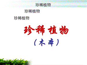 珍惜植物图片(木本).ppt