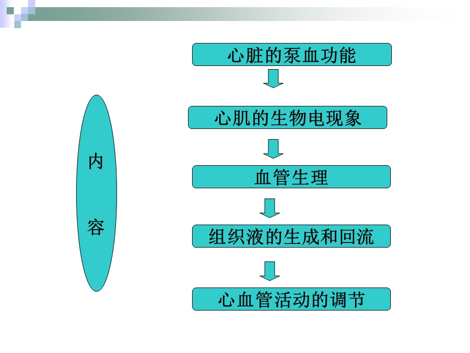 《心脏泵血》PPT课件.ppt_第3页