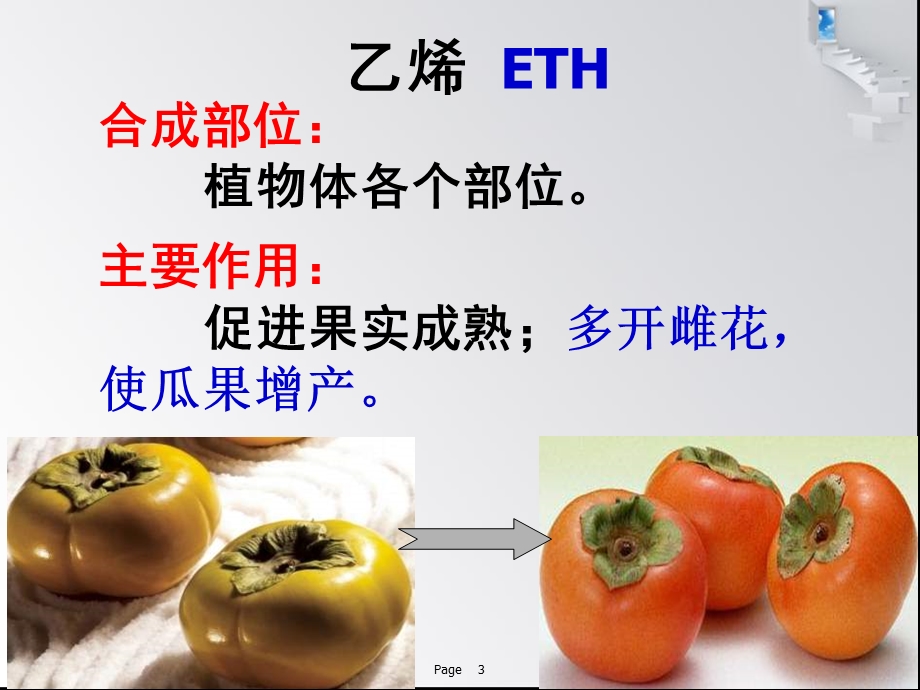 《其它植物激素》PPT课件.ppt_第3页