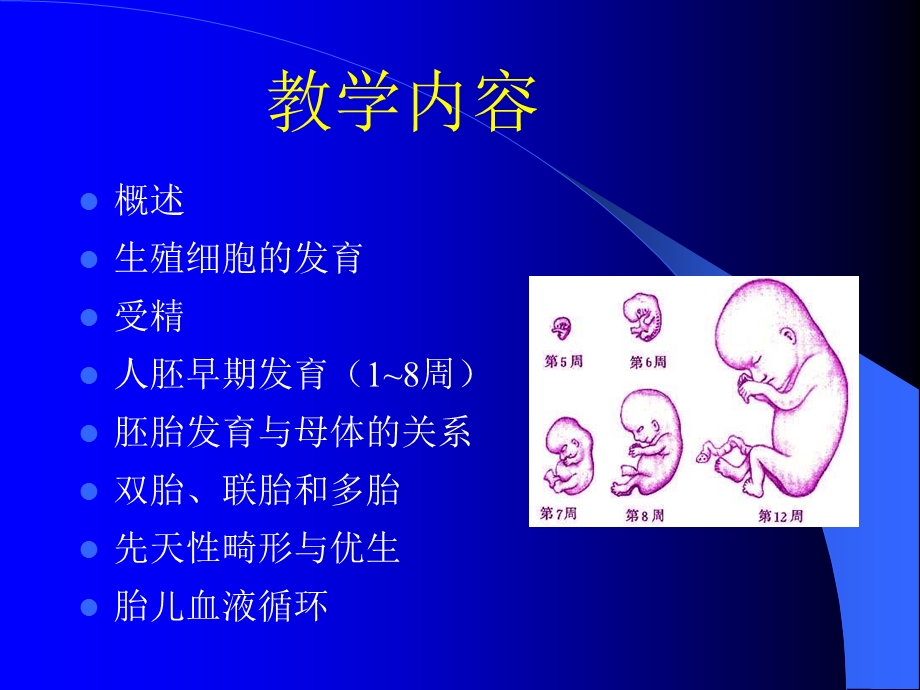 《人体胚胎发育》PPT课件.ppt_第2页