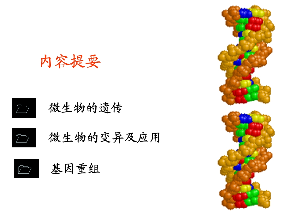 《微生物遗传与变异》PPT课件.ppt_第2页