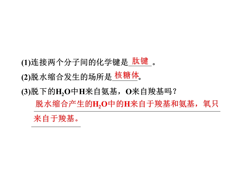 生命活动的主要承担者——蛋白质教材.ppt_第3页