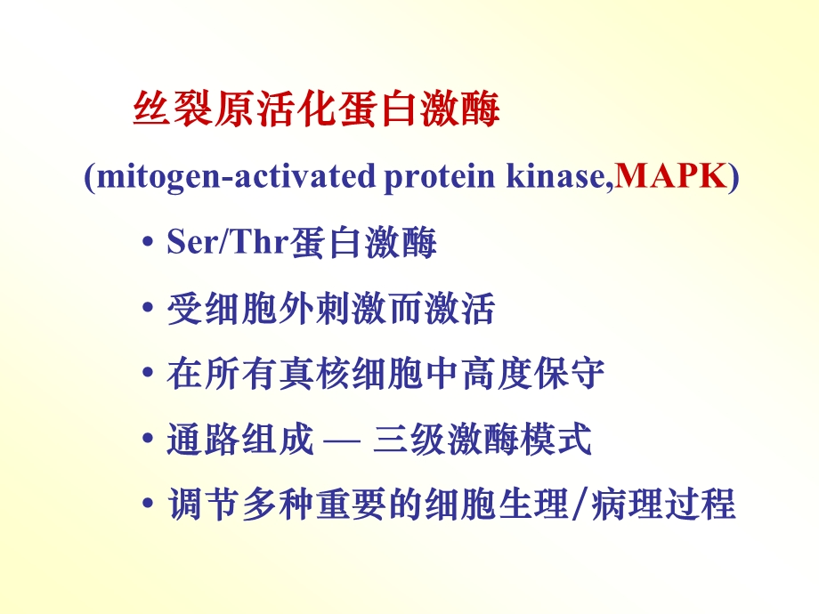 丝裂原活化蛋白激酶.ppt_第2页