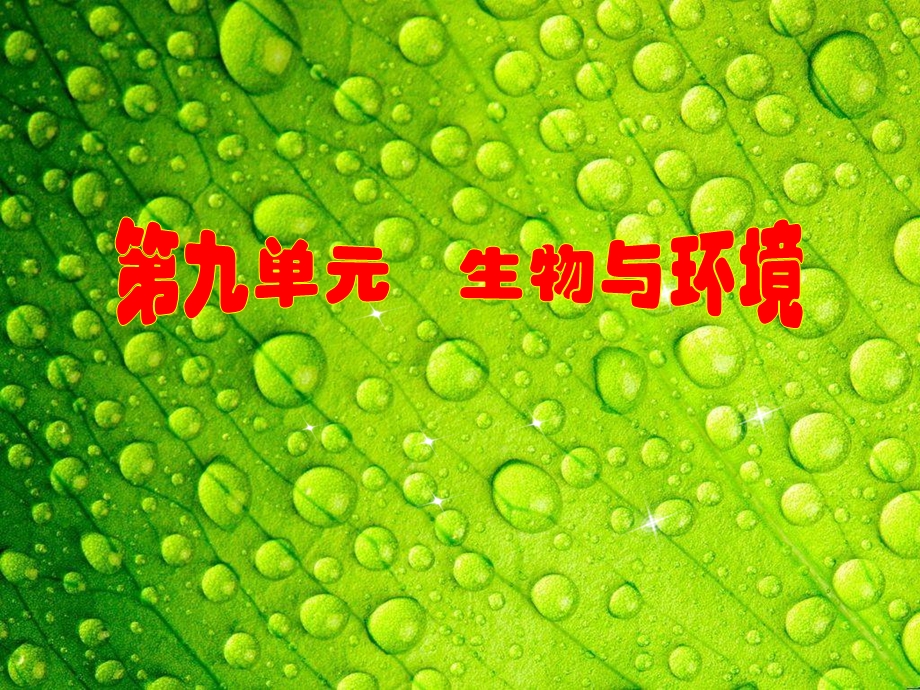 考能专项突破九.ppt_第1页