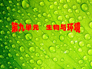 考能专项突破九.ppt