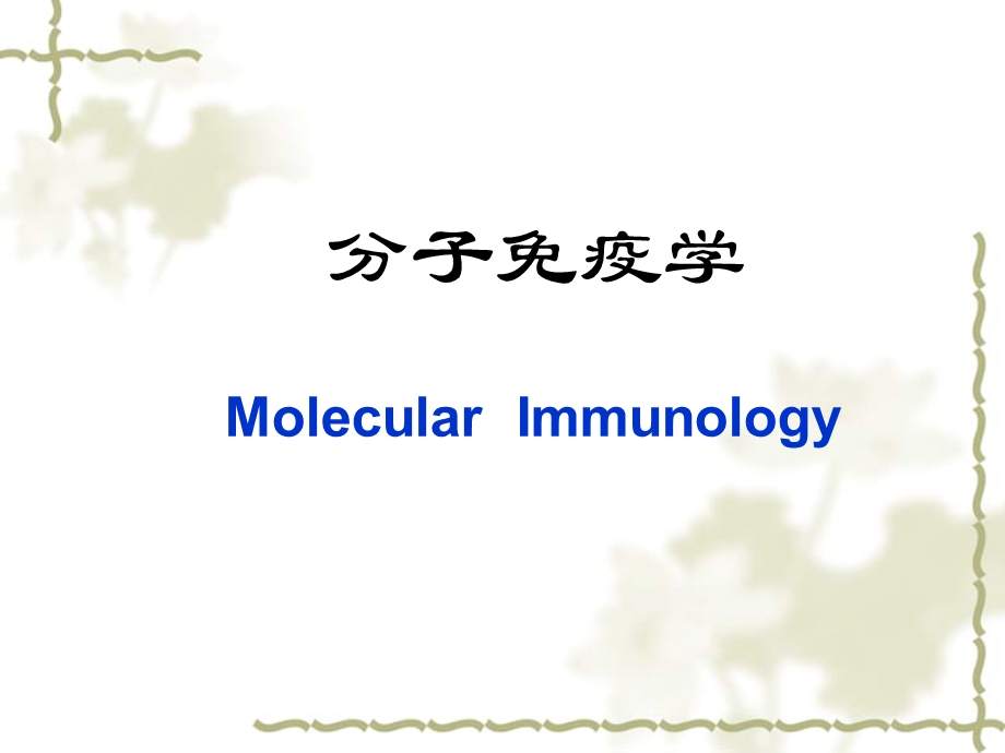 《分子免疫学》PPT课件.ppt_第1页