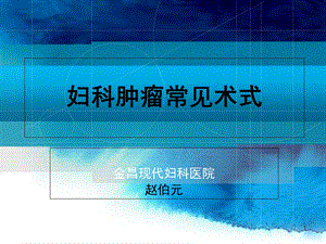 《妇科肿瘤常见术式》PPT课件.ppt