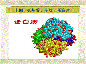 十四 氨基酸、多肽、蛋白质(制药工程).ppt