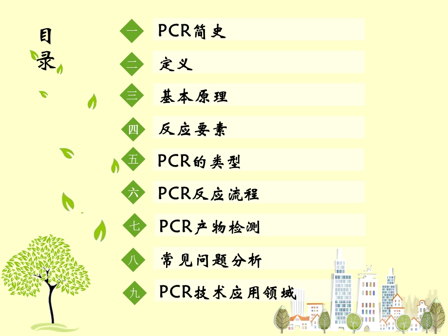 《PCR技术详解》PPT课件.ppt_第2页