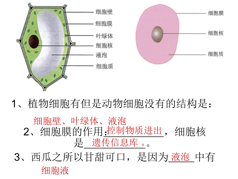 《初中生物课本》PPT课件.ppt_第1页