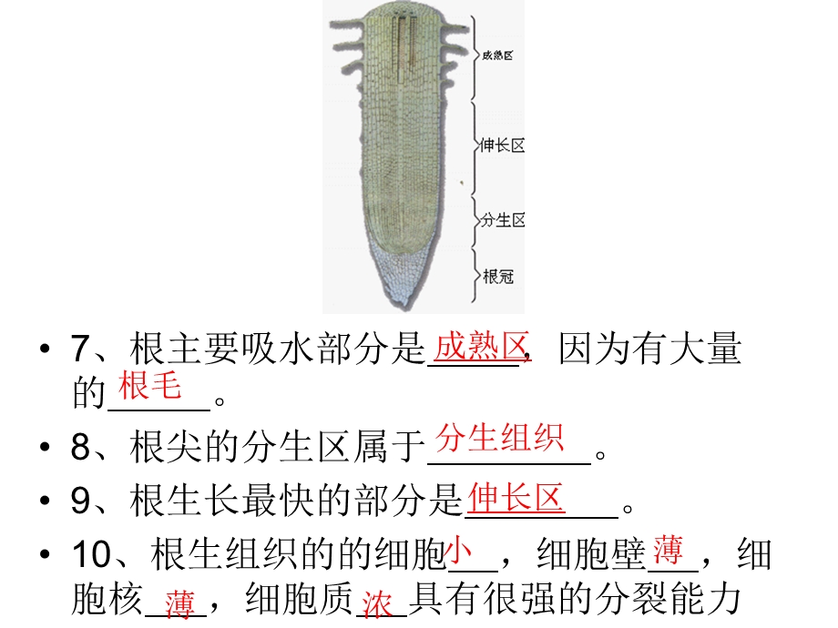 《初中生物课本》PPT课件.ppt_第3页